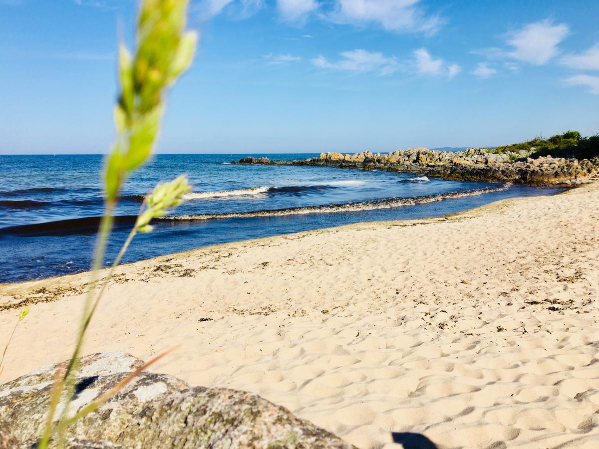 Sandkaas Allinge-Sandvig